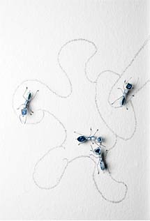 Lei Xue: Ameisen